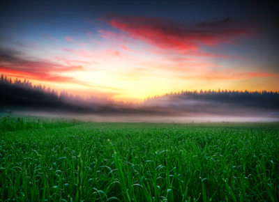 morning_dew_by_timosetae