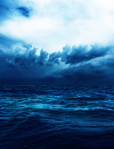 sea2781
