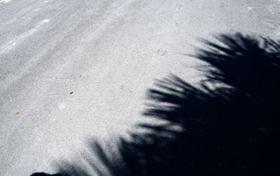 DSCF0785