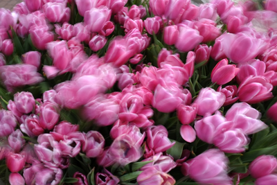 DSCF1582