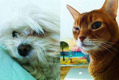 mini&jackie-d