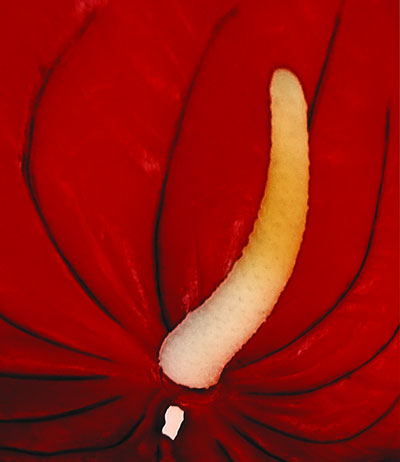 DSCF0467