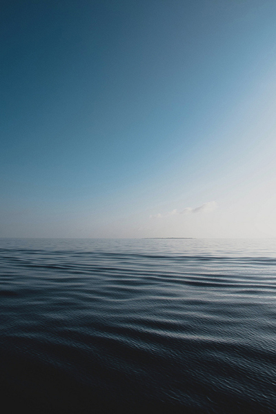 sea-435367