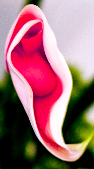 dscf5137-1