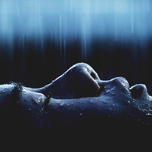 rain.gif