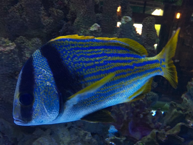 IMG_9539.JPG
